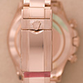 Rolex Daytona Everose  116505