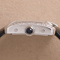 Cartier Divan lady W6300755
