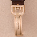 Girard-Perregaux WW.TC 