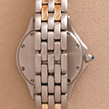 Cartier Panthere Cougar PM 2-rij 