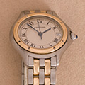 Cartier Panthere Cougar PM 2-rij 