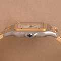 Cartier Panthere GM 