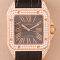 Cartier Santos 100 GM 