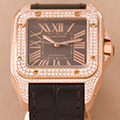 Cartier Santos 100 GM 