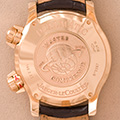 Jaeger-LeCoultre DualMatic 