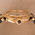 Cartier Pasha