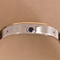 Cartier Santos 100 Goud Staal 