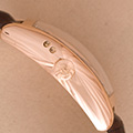 Franck Muller Curvex Master Banker 