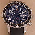 Fortis Marine Master 