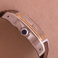 Cartier Santos 100 GM Goud Staal 