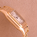 Cartier Panthere 