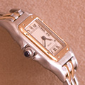 Cartier Panthere 