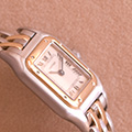 Cartier Panthere 