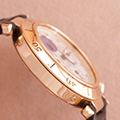 Cartier Pasha Day Date Moonface 