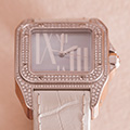Cartier Santos 100 Medium diamond