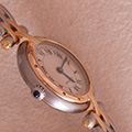 Cartier Panthere Ronde PM 