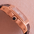 Cartier Santos 100 GM 