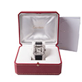 Cartier Santos 100 GM 