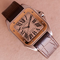 Cartier Santos 100 GM Goud Staal 