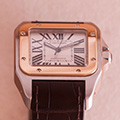 Cartier Santos 100 GM Goud Staal 