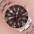 Omega Seamaster Proffesional 