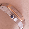 Cartier Santos 100 GM Goud Staal 