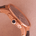 Cartier Calibre Marron 