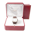 Cartier Santos 100 GM Goud Staal 