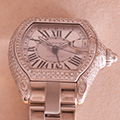 Cartier Roadster GMT Large Model 