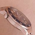 Omega Seamaster Proffesional 