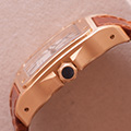 Cartier Santos 100 Large 