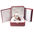 Cartier Santos 100 Large 