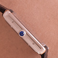Cartier Tank Solo XL