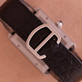 Cartier Tank Solo XL