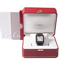 Cartier Santos 100 XL Rubber 