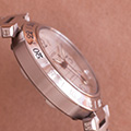 Cartier Pasha C GMT Globe 