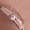 Cartier Roadster Large 