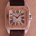 Cartier Santos 100 Medium 