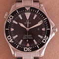 Omega Seamaster Proffesional 