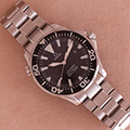 Omega Seamaster Proffesional 