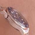 Omega Seamaster Proffesional Co Axial 