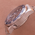 Omega Seamaster Professional Chronograaf 