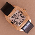 Cartier Santos 100 Large 