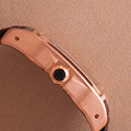 Cartier Santos 100 Rosegold Large 