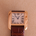 Cartier Tank Anglaise PM 