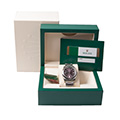 Rolex Oyster Perpetual 36mm Red Grape