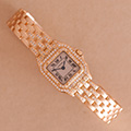 Cartier Panthere PM Triangle Diamond 