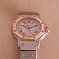 Cartier Santos Octagon 