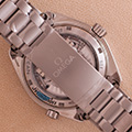 Omega Planet Ocean 600M GMT Titanium 