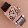 Cartier Santos 100 GM Goud Staal 